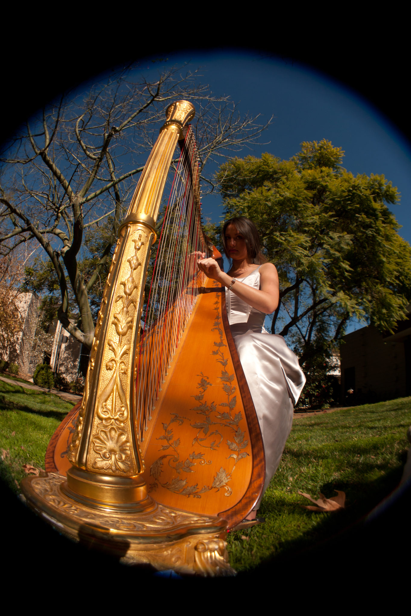 Clare Be Music, San Diego Artist, Harpist, Actress