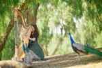 ClareBe is a professional harpist in San Diego, California.