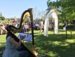 ClareBe is a professional harpist in San Diego, California.